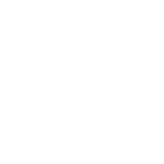 Vital Scrims Logo